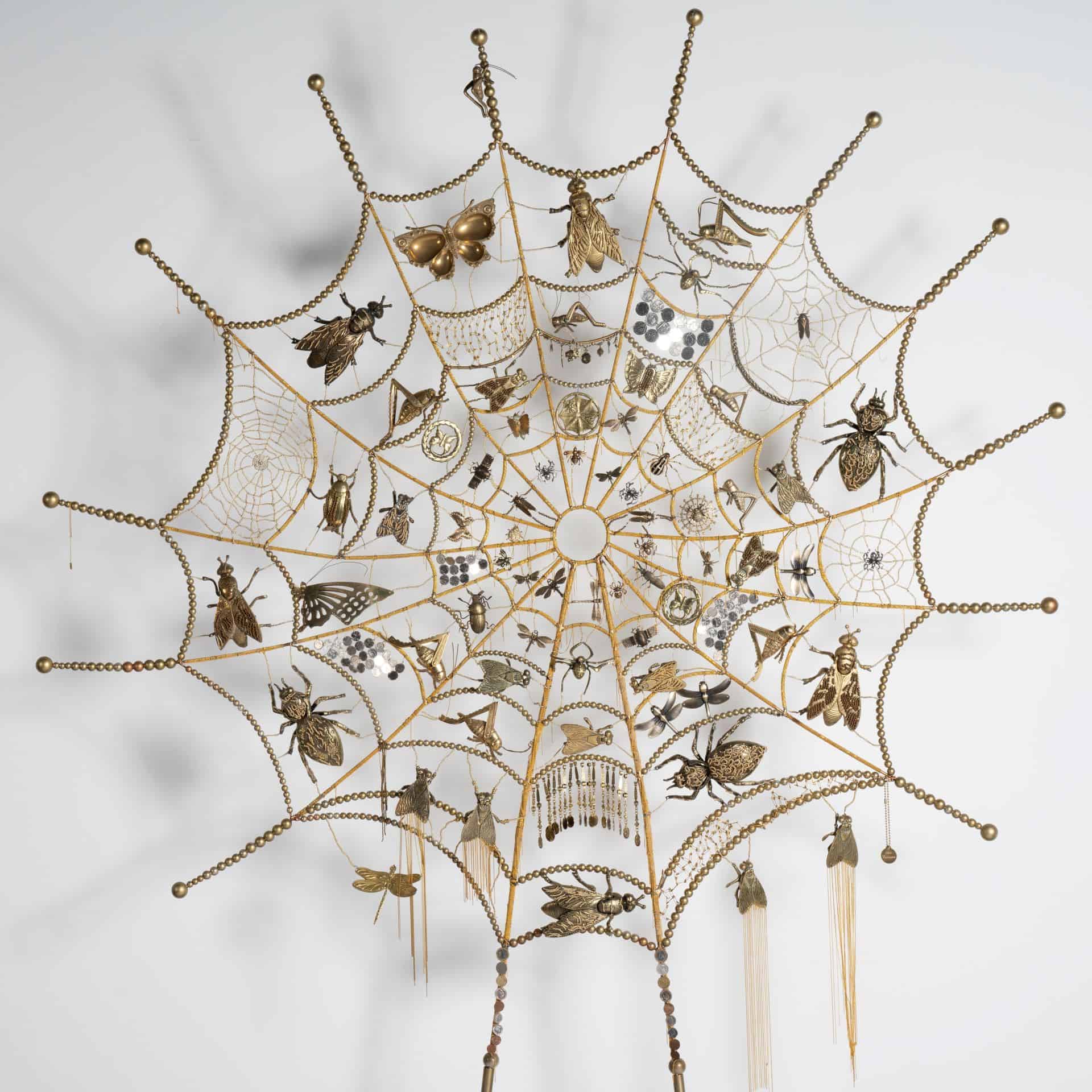 image of Orb Weaver