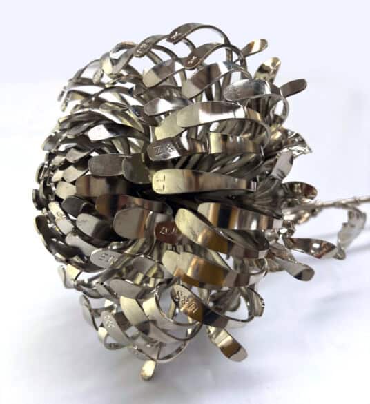 Chrysanthemum Stem