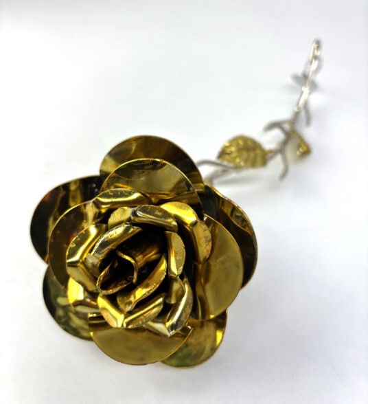 Golden Rose Stem